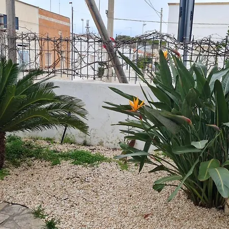 Gabriella Campomarino (Taranto)